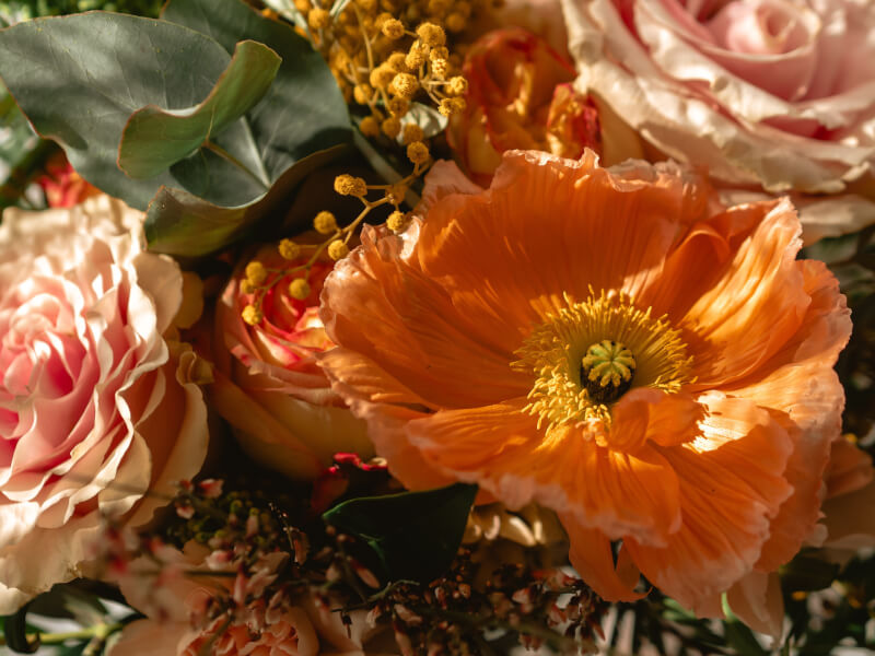 Learn How to Make Your Own Perfume in San Francisco ClassBento